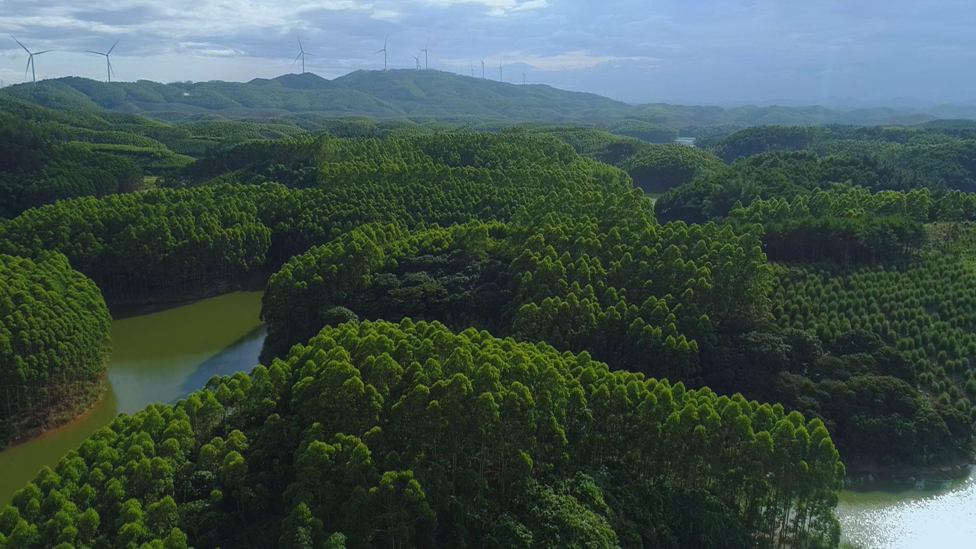 南宁十大钓鱼好地方2026年本年度热度口碑双榜对比