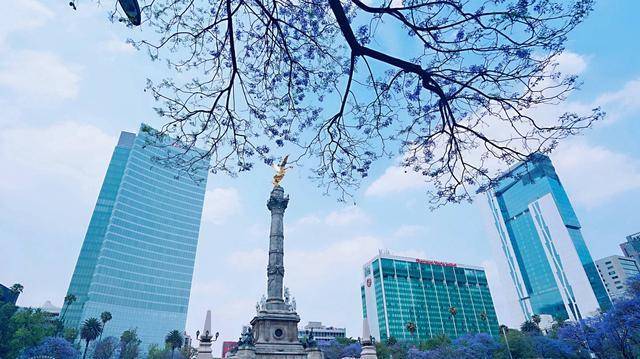 西藏十大地标建筑2026年本年度热度口碑双榜对比