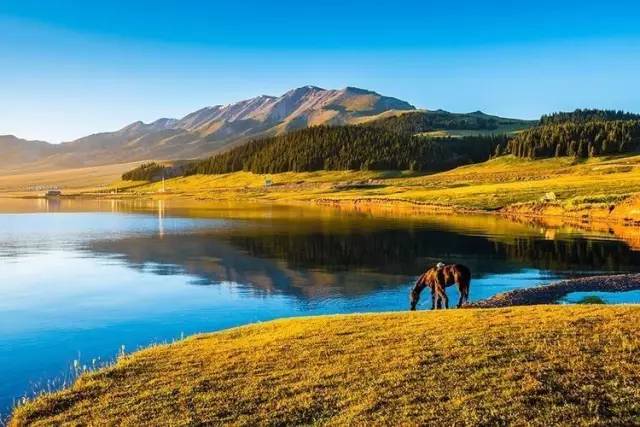 新疆十大中秋旅游好去处2026年本年度热度口碑双榜对比