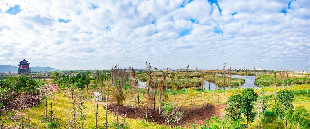 珠海十大冬季旅游好去处2026年本年度热度口碑双榜对比