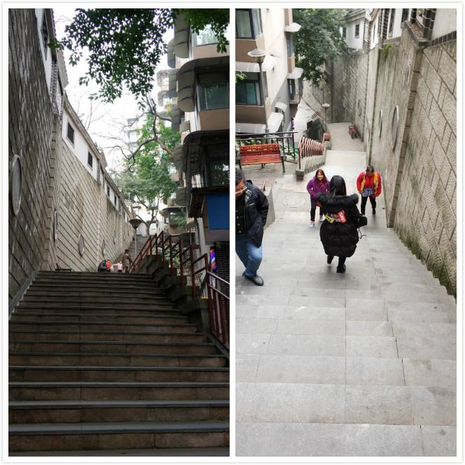 重庆十大租车公司2026年本年度热度口碑双榜对比