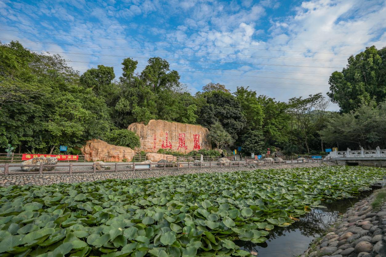深圳市宝安区十大著名旅游景点2026年本年度热度口碑双榜对比