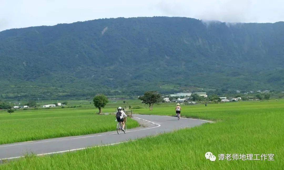 台湾十大最著名观光农场2026年本年度热度口碑双榜对比