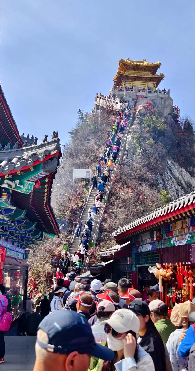 郑州十大最适合学生旅游的景点2026年本年度热度口碑双榜对比