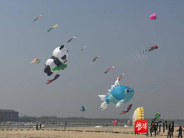 无锡十大适合放飞筝的地方2026年本年度热度口碑双榜对比