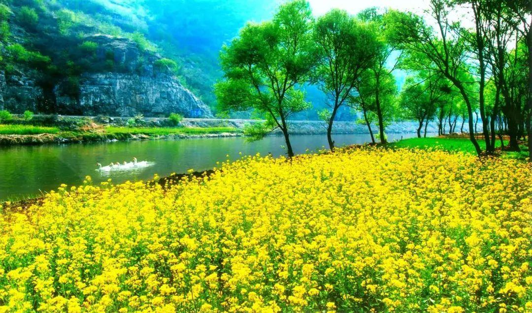 长治市潞州区十大著名旅游景点2026年本年度热度口碑双榜对比