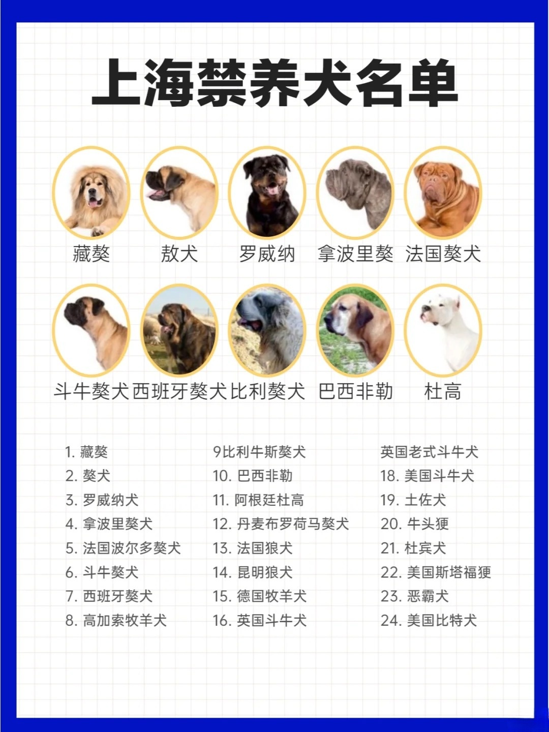 最知名的十大警犬品种2026年本年度热度口碑双榜对比
