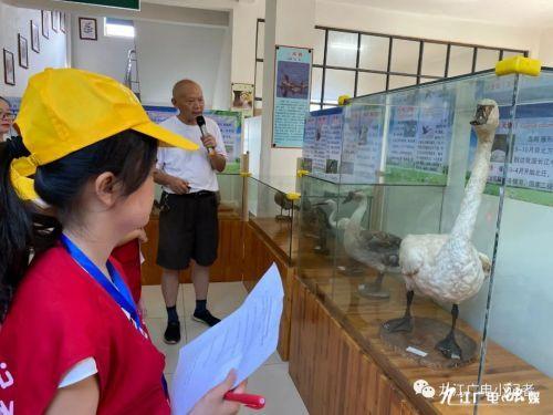 中国十大植物标本馆盘点2026年本年度热度口碑双榜对比