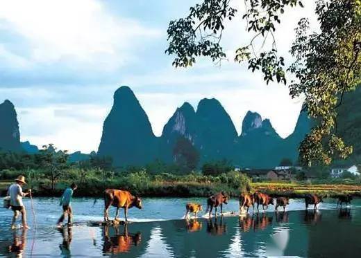 桂林市十大自驾游必去景点2026年本年度热度口碑双榜对比