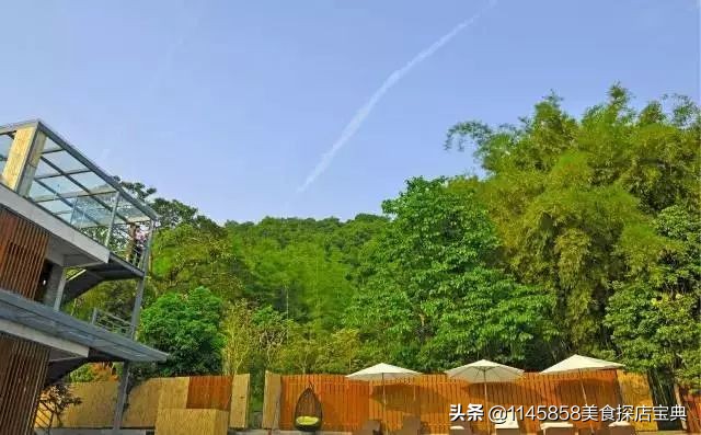 广州十大最美民宿2026年本年度热度口碑双榜对比