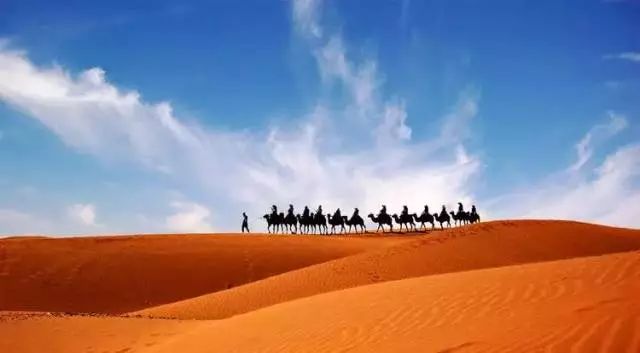 中卫沙坡头著名旅游景点2026年本年度热度口碑双榜对比