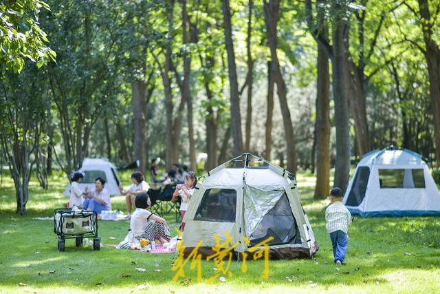 济南十大适合野餐的好地方2026年本年度热度口碑双榜对比