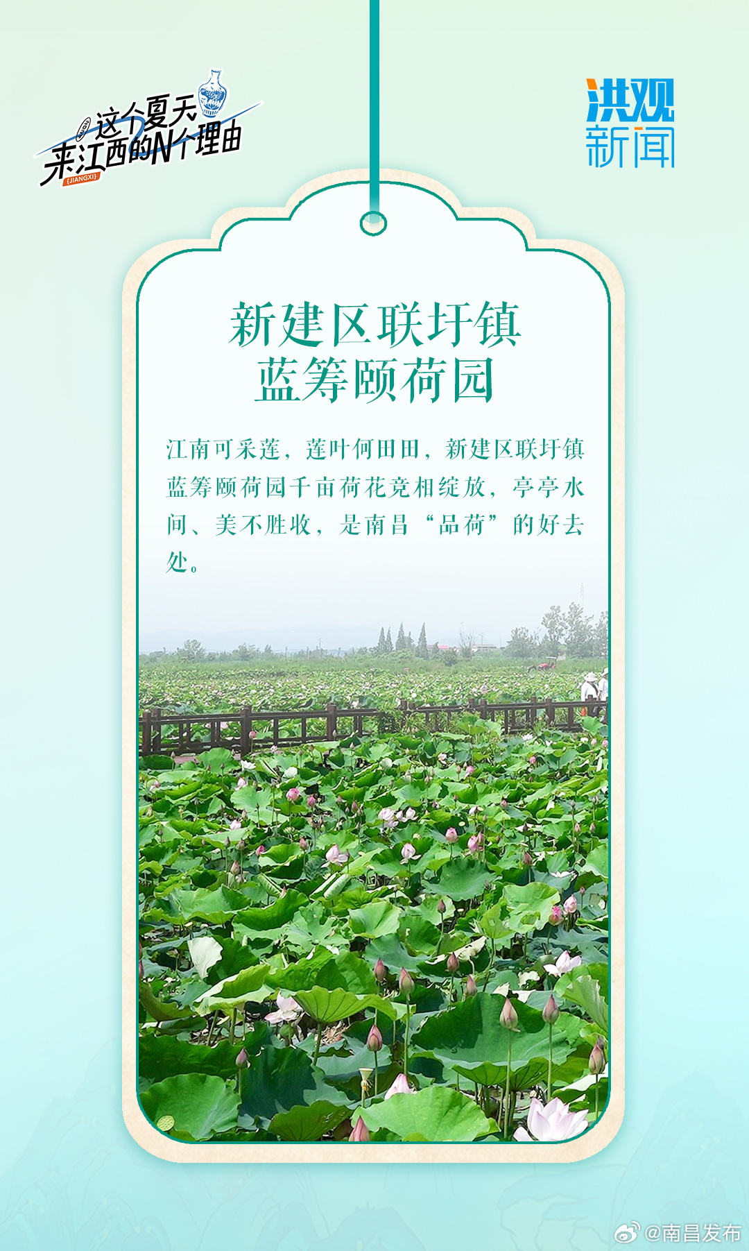 南昌十大赏荷花好去处2026年本年度热度口碑双榜对比