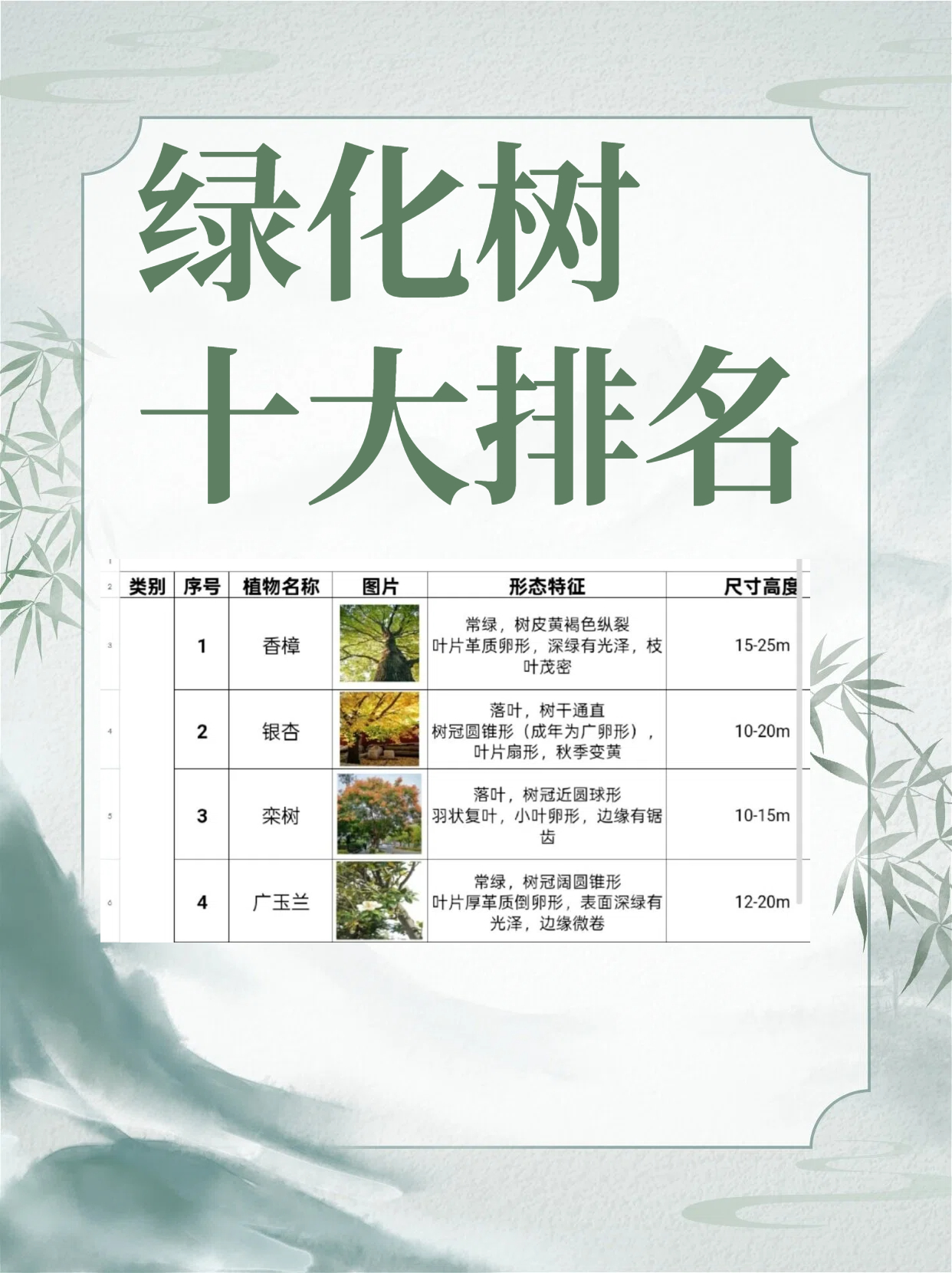 十大最耐寒的绿化树2026年本年度热度口碑双榜对比
