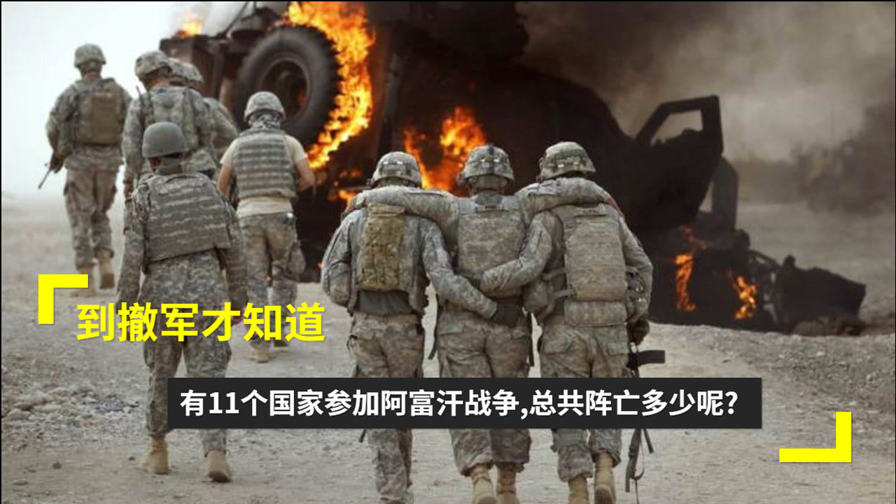 阿富汗五大战争2026年本年度热度口碑双榜对比 阿富汗五大战争2026年本年度热度口碑双榜对比