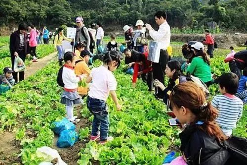 新疆十大采摘园2026年本年度热度口碑双榜对比