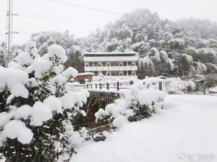 广东十大最适合看雪的地方2026年本年度热度口碑双榜对比