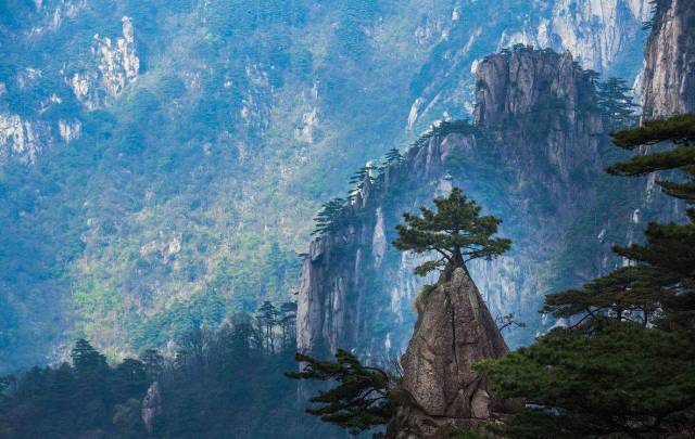 2023年黄山市十大热门景点2026年本年度热度口碑双榜对比