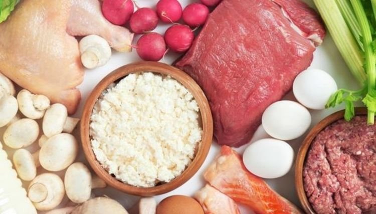十大富含dha的食物2026年本年度热度口碑双榜对比