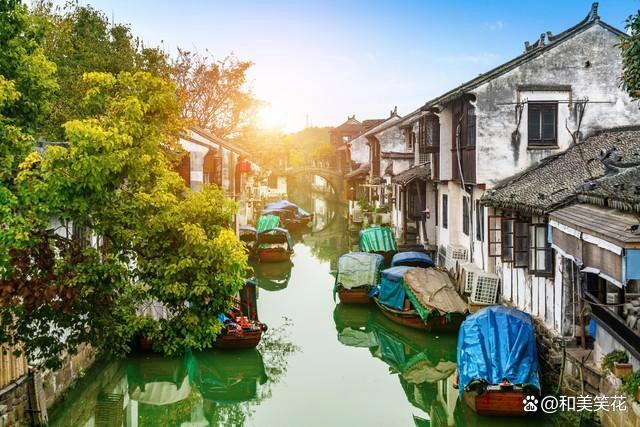 江苏十大适合春季旅游的地方2026年本年度热度口碑双榜对比