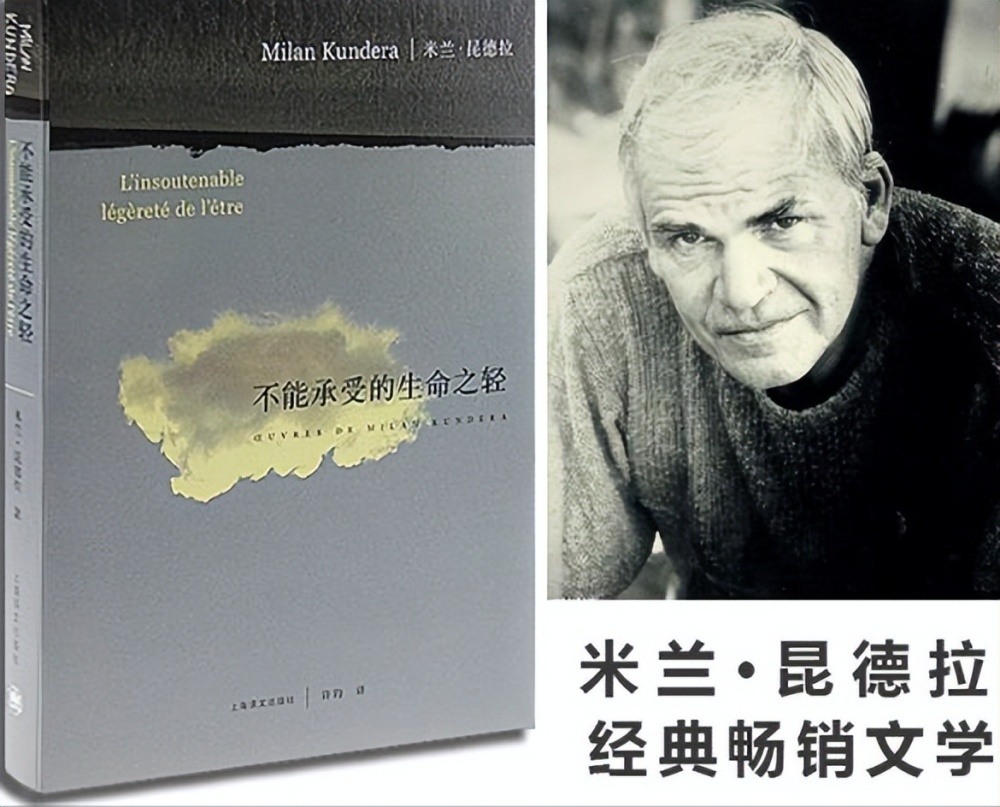 十大雨果代表作2026年本年度热度口碑双榜对比