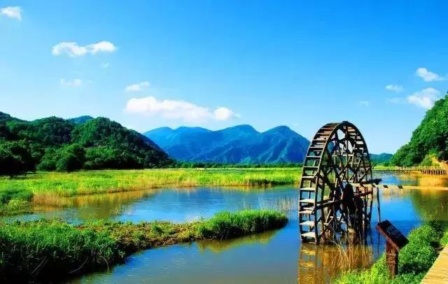 丽水市莲都区十大著名旅游景点2026年本年度热度口碑双榜对比