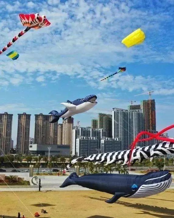 汕头十大适合露营的地方2026年本年度热度口碑双榜对比 汕头十大适合露营的地方2026年本年度热度口碑双榜对比