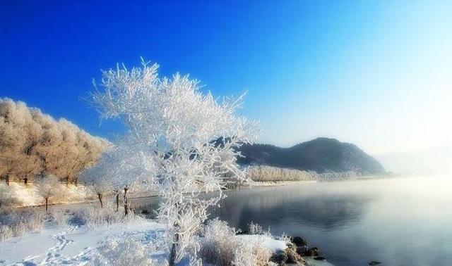陕西十大最适合看雪的地方2026年本年度热度口碑双榜对比