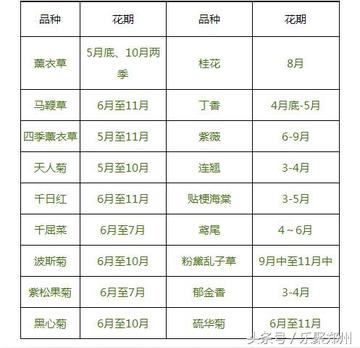 郑州十大农家乐2026年本年度热度口碑双榜对比 郑州十大农家乐2026年本年度热度口碑双榜对比