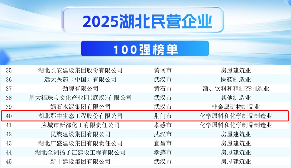 湖北省十大企业2026年本年度热度口碑双榜对比