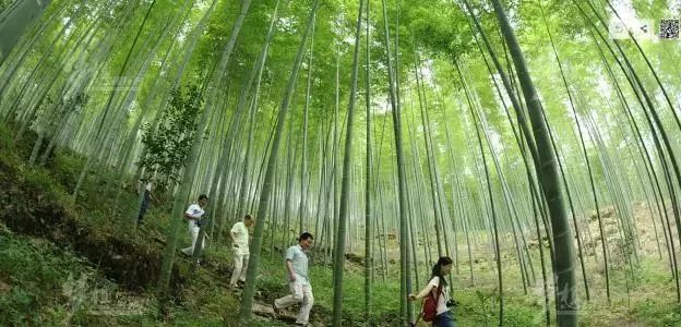 福建十大采摘园2026年本年度热度口碑双榜对比