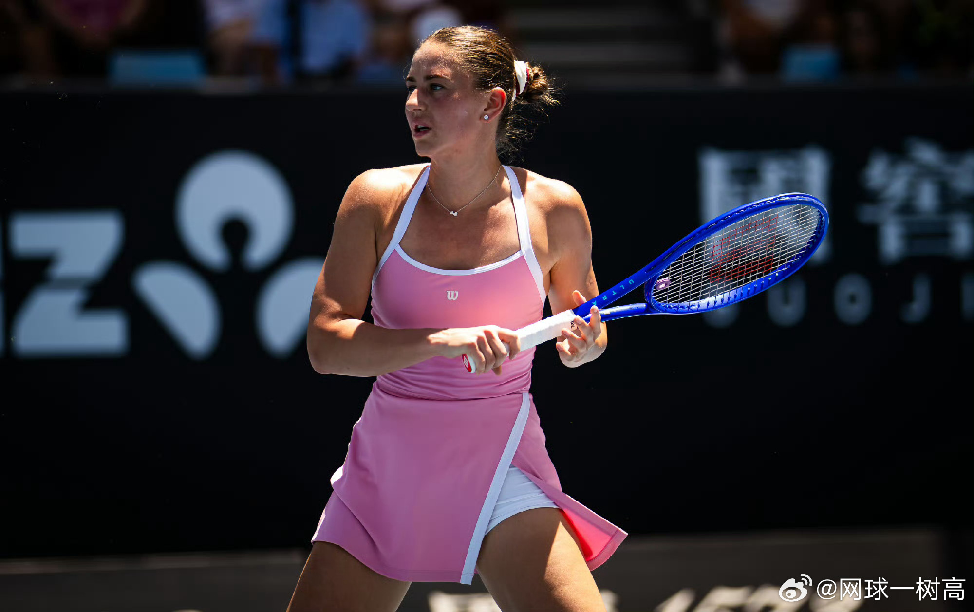 世界十大网球美女2026年本年度热度口碑双榜对比