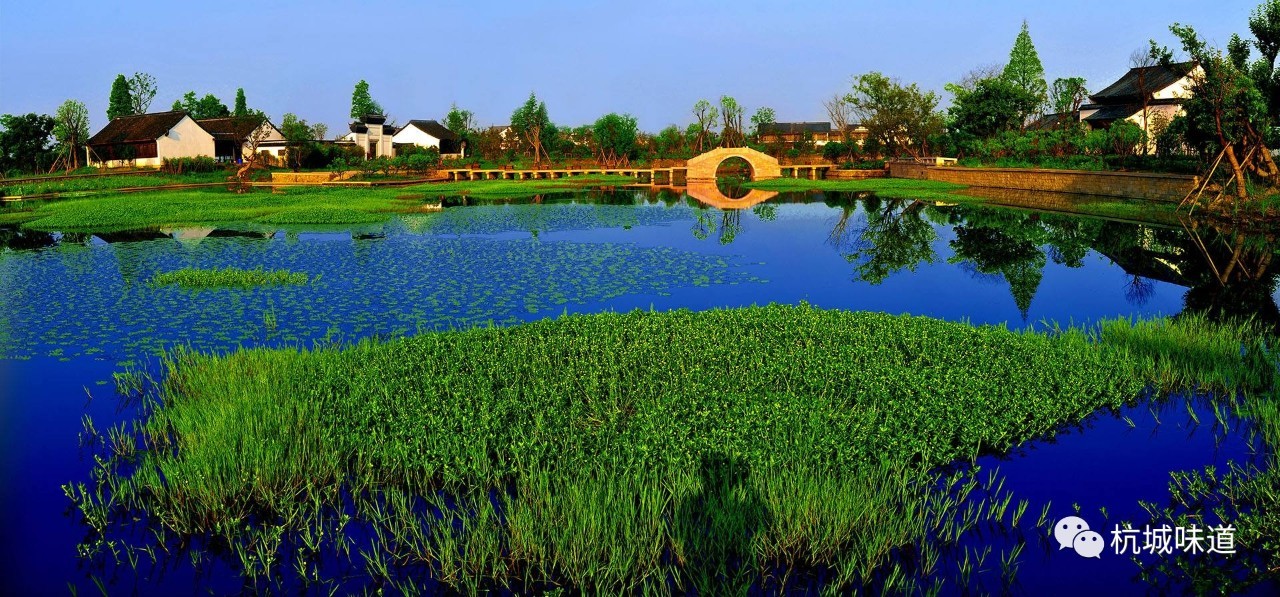 中国十大湿地度假村2026年本年度热度口碑双榜对比