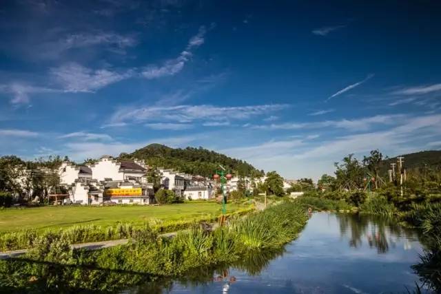 中国十大湿地度假村2026年本年度热度口碑双榜对比