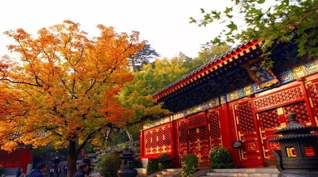 沈阳十大最美民宿2026年本年度热度口碑双榜对比