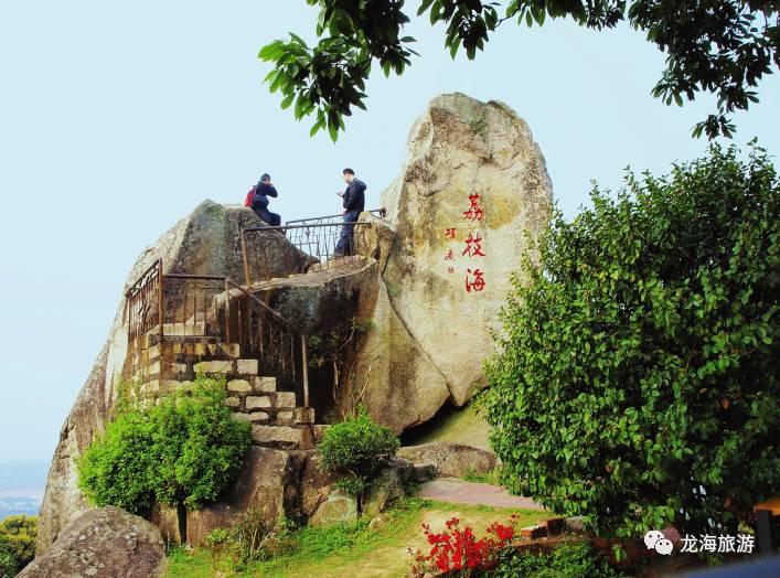 漳州市龙海市十大著名旅游景点2026年本年度热度口碑双榜对比
