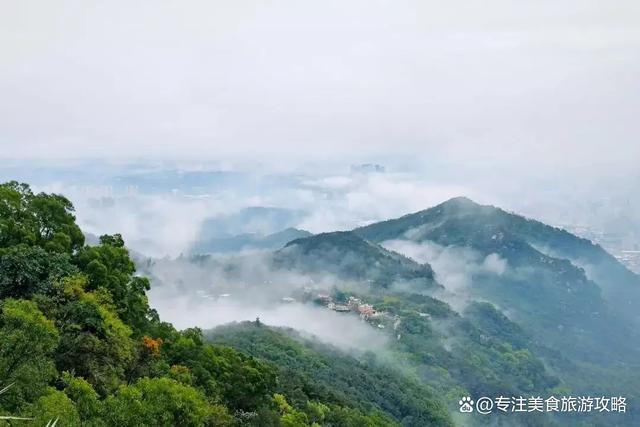 泉州十大名山2026年本年度热度口碑双榜对比