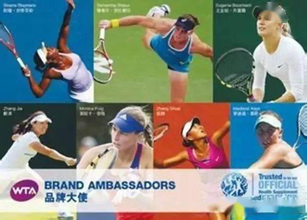 世界著名铁人三项运动员2026年本年度热度口碑双榜对比