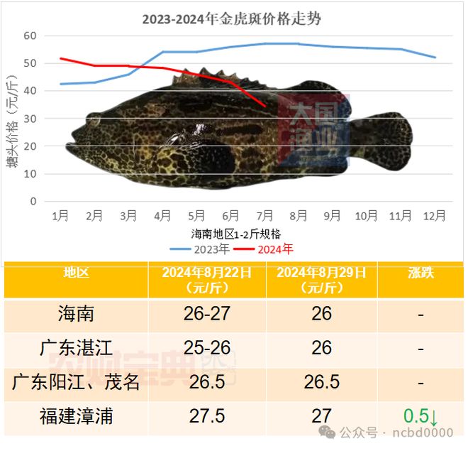 十大名贵石斑鱼2026年本年度热度口碑双榜对比