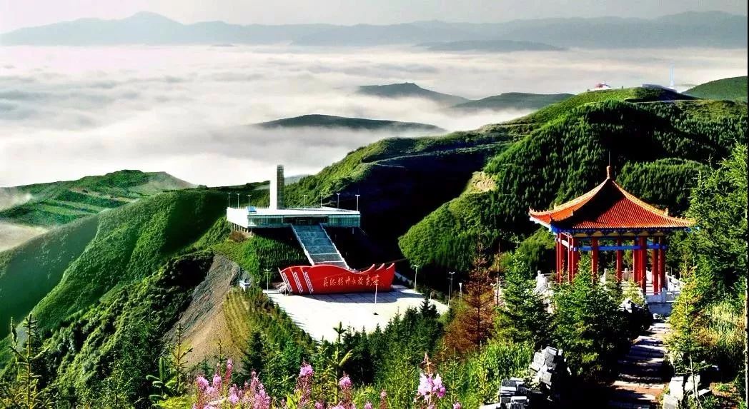 宁夏十大民族古风最浓的景点2026年本年度热度口碑双榜对比