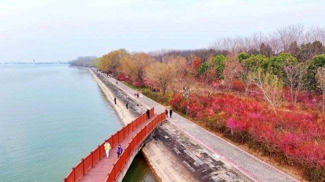 淮安十大适合春季旅游的地方2026年本年度热度口碑双榜对比
