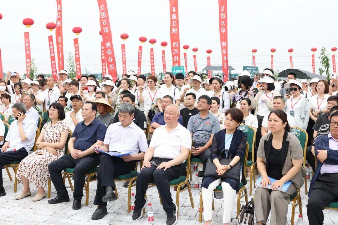 南阳八大道地药材2026年本年度热度口碑双榜对比