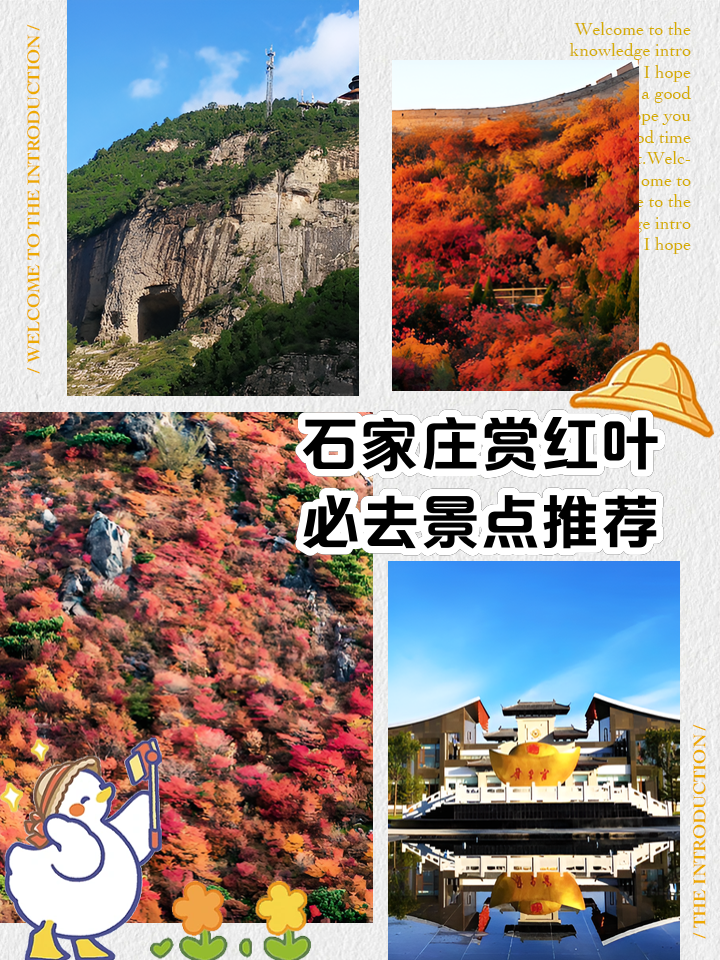 石家庄十大赏叶好去处2026年本年度热度口碑双榜对比