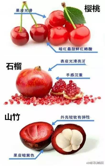 广东十大特色水果2026年本年度热度口碑双榜对比 广东十大特色水果2026年本年度热度口碑双榜对比