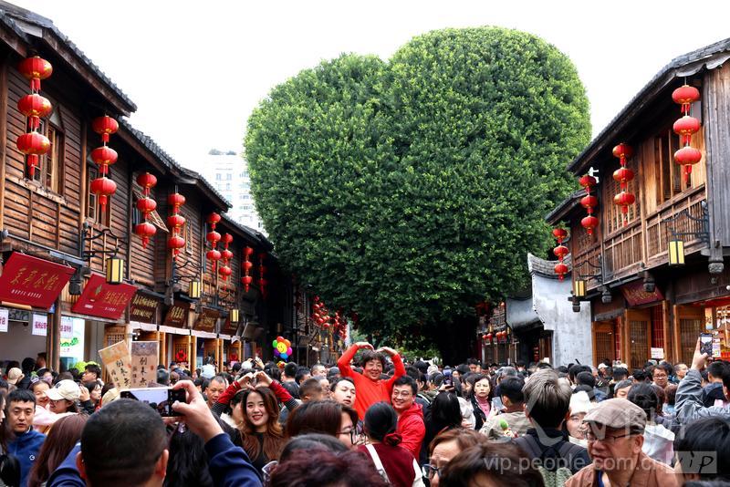 福州十大适合春季旅游的地方2026年本年度热度口碑双榜对比