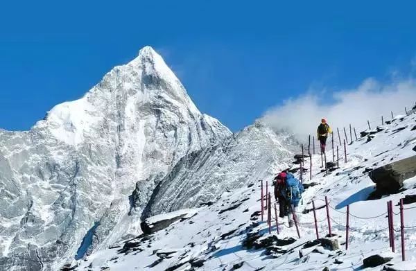 中国十大攀登雪山2026年本年度热度口碑双榜对比